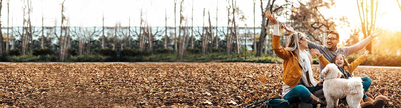 Mother, father, daughter and dog sitting in a pile of leaves with hands in the air.
